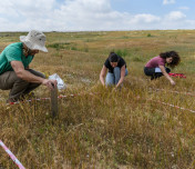Practical Solutions to Desertification: New eLTER Policy Brief