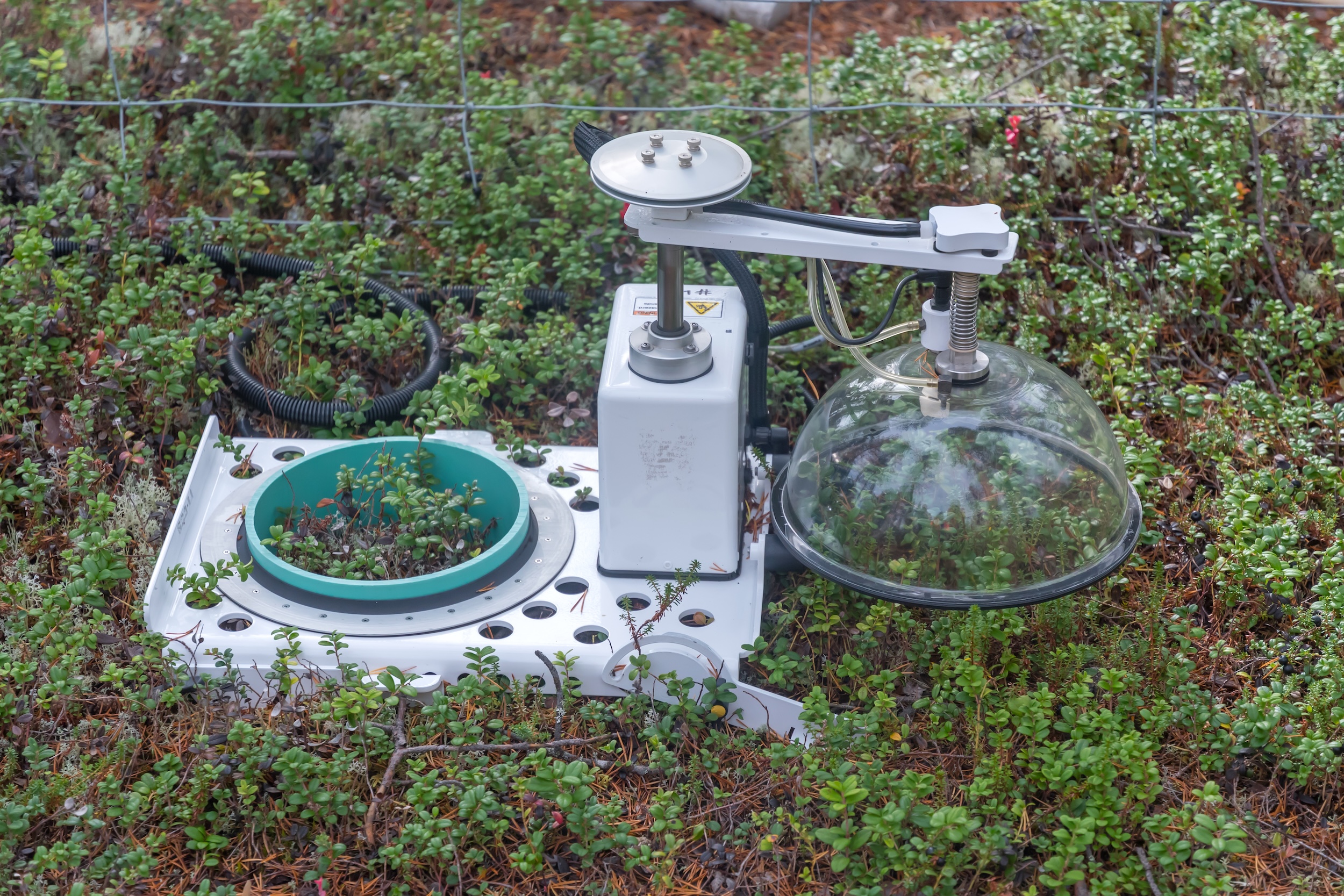 eLTER Standard Observation Protocols: New Webinar Series for the Sites and Platforms Forum