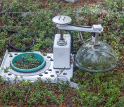 eLTER Standard Observation Protocols: New Webinar Series for the Sites and Platforms Forum