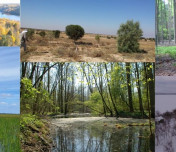 IRISCC third General Call offers Sponsored Physical Access to almost 100 Facilities all over Europe, including 13 eLTER Sites and eLTSER Platforms